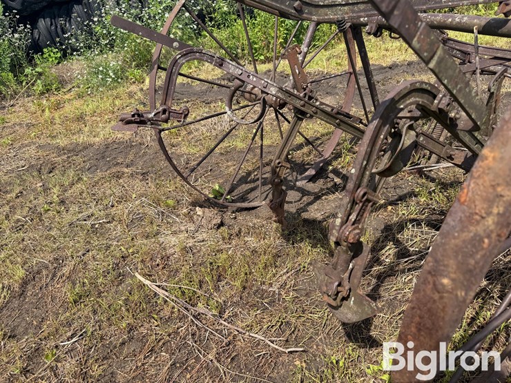 horse-drawn-cultivator-image-12