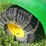 john-deere-lx288-image-43