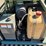 yanmar-c30r-image-22