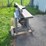 total-shop-electric-planer-w/stand-image-4