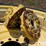 john-deere-10-image-20