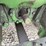 john-deere-8630-image-13