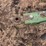 john-deere-3950-image-13