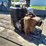 transfer-pump-w/briggs-and-stratton-5.5hp-intek-190-engine-image-1