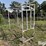 livestock-fitting-chute-image-3