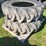 (1)-pair-of-12.4-24-tires-image-4