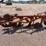 j.i.-case-4-bottom-plow-image-6