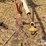 kuhn-ga300-image-9