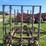 20'-spike-tooth-harrow-w/hydraulic-cylinder-image-17