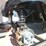 hq80-golf-cart-image-6