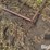 deer-stand-image-11
