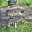 john-deere-lx288-image-42