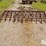 12'-spring-tooth-harrow-image-6