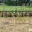 john-deere-er008-6r30"-crop-cultivator-image-2