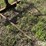 tri-l-loader-bale-spear-image-9