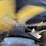2005-hyster-h50ft-image-29