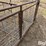 small-livestock-pens-image-18