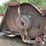 2015-bush-hog-2815-image-8