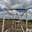 livestock-fitting-chute-image-17