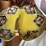 assorted-decorative-tableware-and-kitchenware-collection-image-3