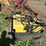 demco-sprayer-w/pump-&-booms-image-5