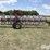 2020-h&s-hd8117-17-wheel-hay-rake-image-4
