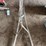 single-wheel-garden-cultivator-plow-image-4