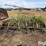 john-deere-3-section-rotary-hoe-image-6