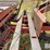 new-holland-1033-image-18