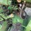 john-deere-1070-image-12