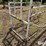 livestock-fitting-chute-image-9