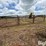small-livestock-pens-image-6