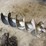 12in-auger-bit-image-2