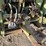 1980-steiger-bearcat-image-45