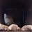 2007-international-acco-1950d-image-66