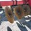 case-ih-ecolo-tiger-730b-image-11