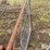 small-livestock-pens-image-9