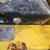 wacker-neuson-rt-image-21