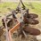 ford-4x14"-mounted-plow-image-10