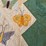 butterfly-applique-quilt-with-sage-green-border-image-3