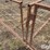 small-livestock-pens-image-11