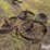 steel-wagon-wheels-image-3
