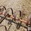 12'-spring-tooth-harrow-image-18