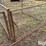 small-livestock-pens-image-13