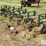 john-deere-6r30"-crop-cultivator-image-5