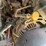 2014-caterpillar-262d-image-26