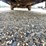 2005-ford-f150-image-24