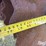 2019-sunflower-6631-40-image-20
