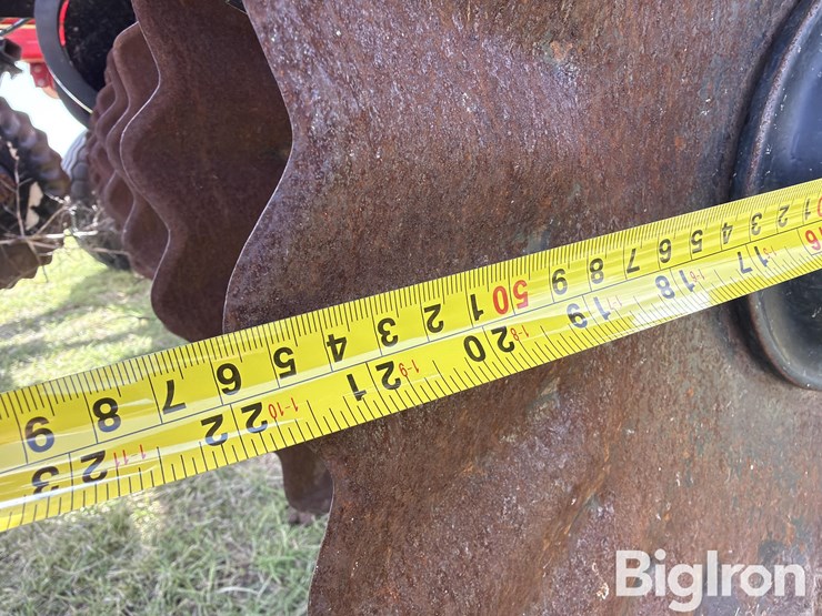 2019-sunflower-6631-40-image-20