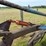white-5-furrow-plow-image-6